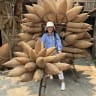 local Trang Chu