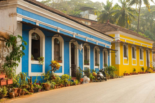 Glimpses of Goa: A Fascinating Day Trip Experience - Withlocals