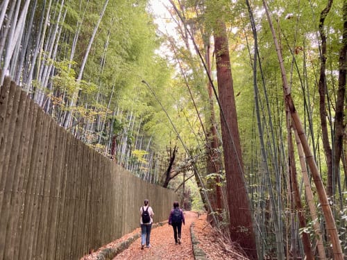 Discovering Tranquil Nature and Hidden Gems - Withlocals Discovering Tranquil Nature and Hidden Gems - Withlocals