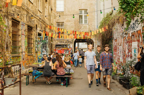 Urban Jungle The Alternative Side Berlin Withlocals