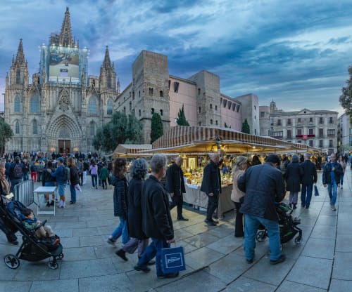 売れ筋ランキングも掲載中！ Christmas & Highlights Barcelona Tour Withlocals - 自然、風景