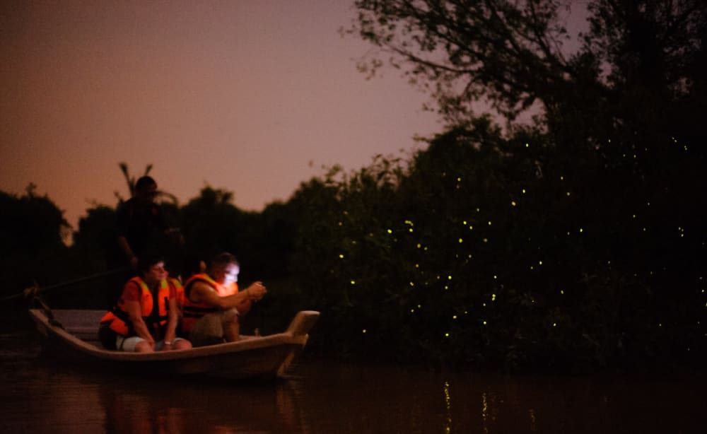 Romantic Boat ride, Seafood & Fireflies