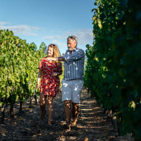 Picture of Stellenbosch local wine tour