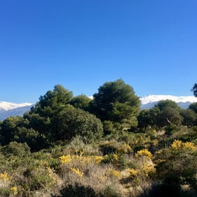 Picture of Stunning mountain bike tour next to Granada