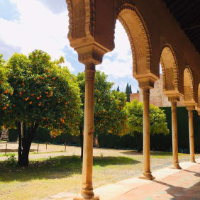 Picture of  Skip-the-line Alhambra and Generalife guided tour 