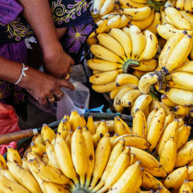 Picture of Goan Gastronomy: A sundown Explore of Panjim for Local Petiscos.