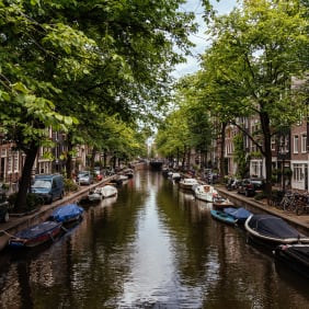 Picture of Full Coverage Amsterdam City Tour