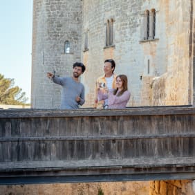 Picture of The Ultimate Bellver Castle Day Trip