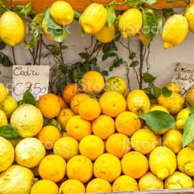 Picture of Lemon and olive oil : Countryside experience in Sorrento Coast