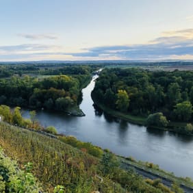 Picture of PRIVATE WINE & HERITAGE IN BOHEMIA (1-hour from Prague)