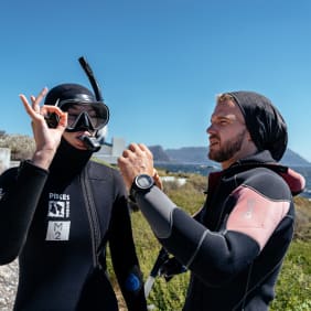 Picture of Cape Town From the Water: Snorkeling & Penguins