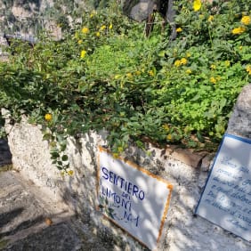 Picture of Lemon Path Discovery: Hiking the Enchanting Amalfi Coast