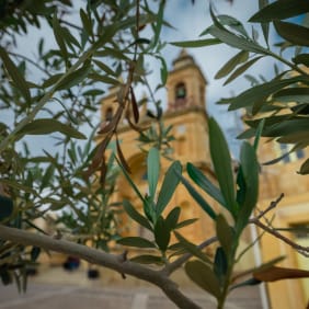 Picture of Exclusive Malta: Private 6-Hour Island Exploration