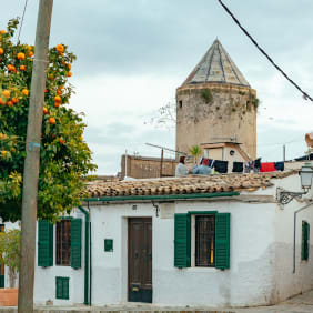 Picture of Palma Local Markets Tour & Classic Tastings
