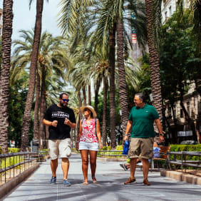 Picture of Highlights & Hidden Gems of Valencia
