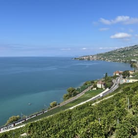 Picture of UNESCO World heritage vineyards