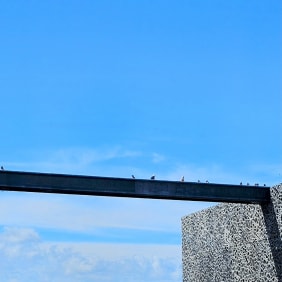Picture of Explore Marseille: An Unforgettable Odyssey