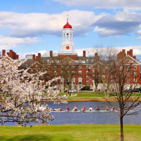 Picture of Customized Bike Tour & picnic along Charles River Greenway