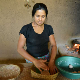Picture of 2 Day Wildlife and Culture Tour 