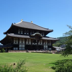 Picture of Cruise Shore Excursion: Nara Highlights 
