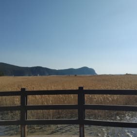 Picture of Busan's Coastal Gems: Bunecia, Nakdong River Walk, and Dadaepo Beach Sunset