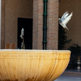 Picture of City Discovery: Carmona & Cordoba Day Trip