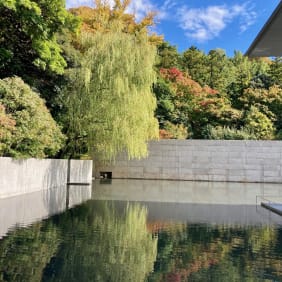 Picture of Nature's Symphony: A Kanazawa Garden Adventure