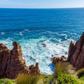 Picture of Full-Day Private Australian Wildlife Tour of Phillip Island