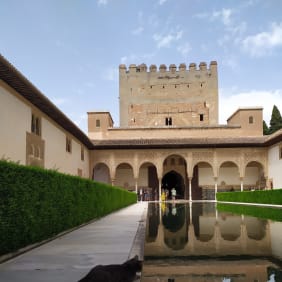 Picture of Alhambra Tour: Art & History + Skip the Line! (Tickets are not included)