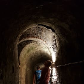 Picture of Inscrutable and Mysterious Vienna