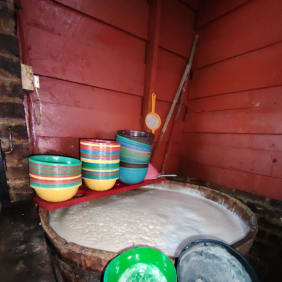 Picture of Negombo Delight: A Cultural, Culinary, and Scenic Day Tour