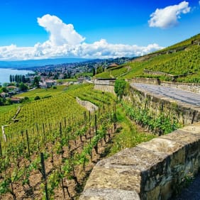 Picture of A Day by Lake Geneva: Picturesque cities & Steamboat