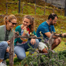 Picture of City Escape: Douro Valley Day Trip