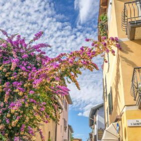 Picture of City Escape: Lake Garda Day Trip