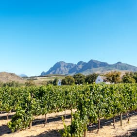 Picture of Instagram Hot Spots in Cape Town Private Tour