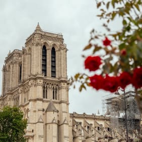Picture of Highlights & Hidden Gems of Ile de Cité & the Left Bank
