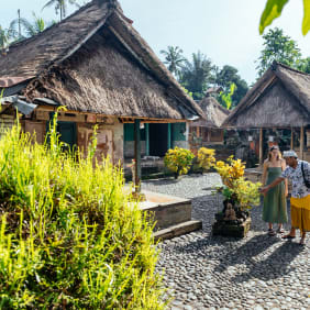 Picture of City Escape: Ubud Day Trip