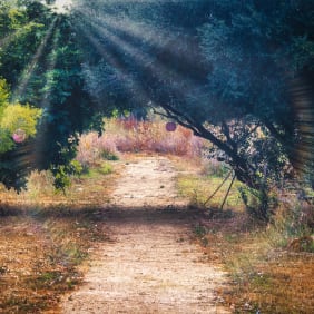 Picture of Vineyard Delights: Cadiz Hills and Local Village Tour