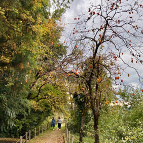Picture of Discovering Tranquil Nature and Hidden Gems