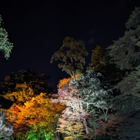 Picture of Echoes of Edo: A Journey Through Kanazawa's Samurai Heritage