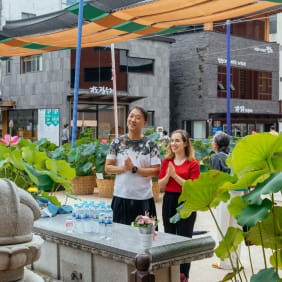 Picture of Highlights & Hidden Gems of Seoul