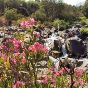 Picture of Journey Through Alcantara Valley: Nature's Hidden Gem
