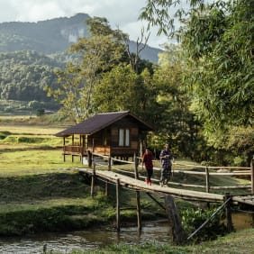 Picture of City Escape: Doi Inthanon Day Trip