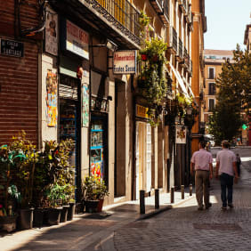 Picture of Highlights & Hidden Gems of Madrid