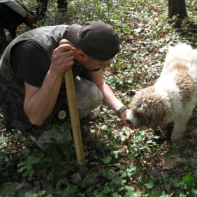 Picture of Truffle Hunt & Lunch in Italian Countryside