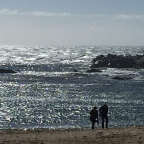 Picture of Exploring the Atlantic Coast: Food and History - The Best of Both Worlds
