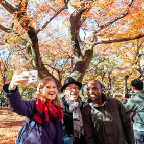 Picture of City Explorer: Nara Day Trip