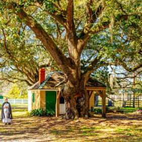 Picture of The Ultimate historical plantation Day Trip
