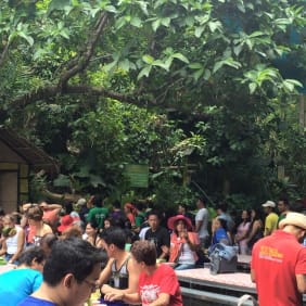 Picture of Hacienda Escudero Plantation Tour