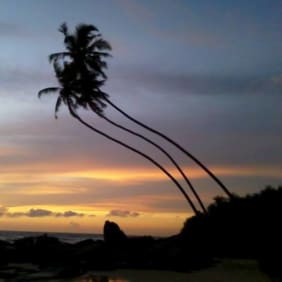 Picture of Inspiring 1 Day Tour in Southern Sri Lanka